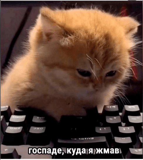 Снимок экрана в 2025-01-14 10-59-47.png